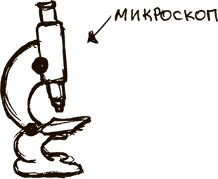 Иллюстрация к книге — Укротители лимфоцитов и другие неофициальные лица [i_015.jpg]