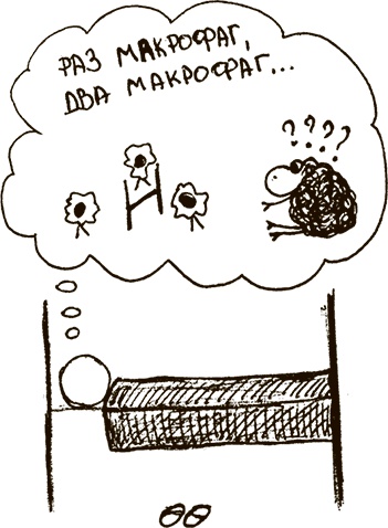 Иллюстрация к книге — Укротители лимфоцитов и другие неофициальные лица [i_016.jpg]