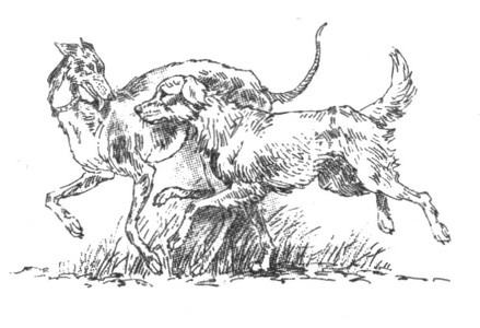 Иллюстрация к книге — Пустой город [pic001.jpg]