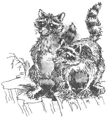 Иллюстрация к книге — Пустой город [pic035.jpg]