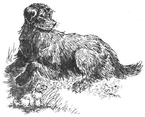 Иллюстрация к книге — Пустой город [pic115.jpg]