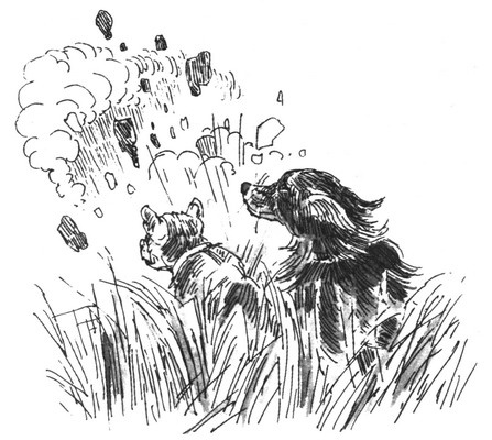 Иллюстрация к книге — Пустой город [pic149.jpg]