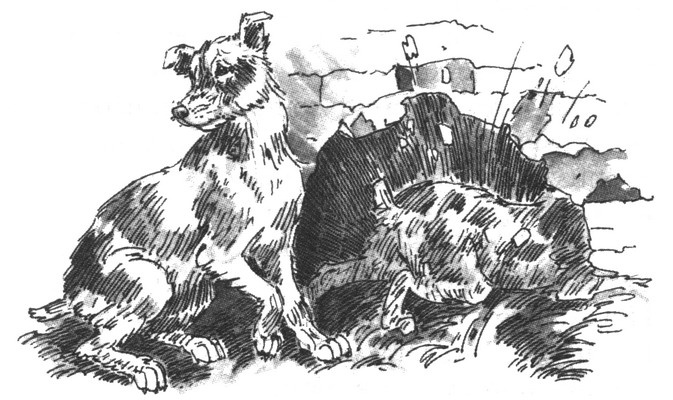 Иллюстрация к книге — Пустой город [pic269.jpg]