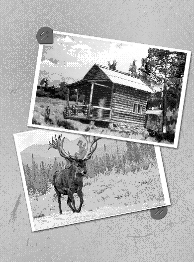 Иллюстрация к книге — Благие пожелания [i_004.jpg]