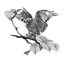 Иллюстрация к книге — Вихри перемен [i_007.jpg]