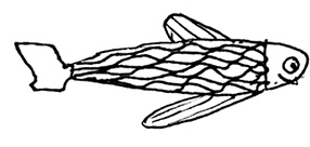 Иллюстрация к книге — Всемирная история болезни [i_018.jpg]