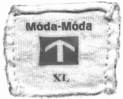 Иллюстрация к книге — 39 ключей. Кэхиллы против Весперов. Операция "Медуза" [i_004.jpg]