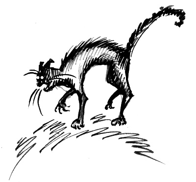 Иллюстрация к книге — Влада и маг-убийца [_23.jpg]