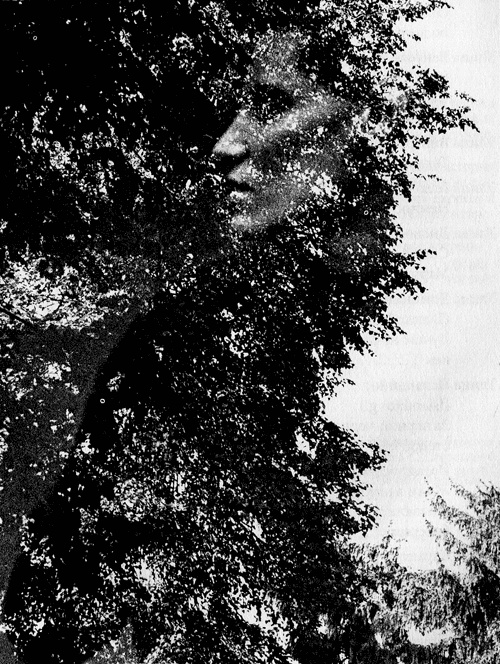 Иллюстрация к книге — Сказки Старого Вильнюса III [i_001.jpg]