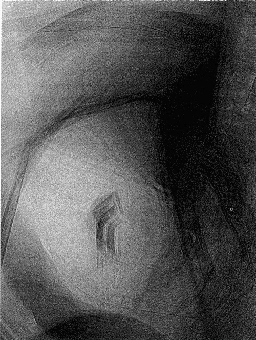 Иллюстрация к книге — Сказки Старого Вильнюса III [i_003.jpg]