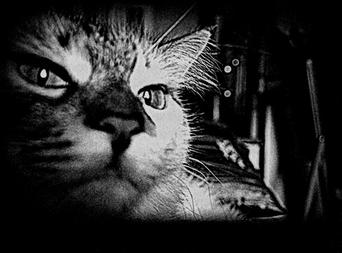 Иллюстрация к книге — Сказки Старого Вильнюса III [i_010.jpg]