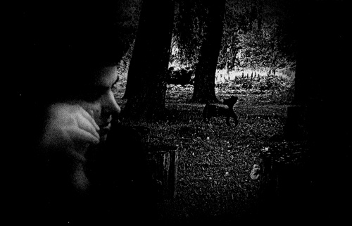 Иллюстрация к книге — Сказки Старого Вильнюса III [i_012.jpg]