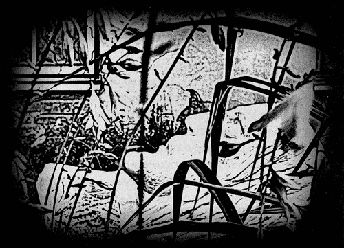 Иллюстрация к книге — Сказки Старого Вильнюса III [i_017.jpg]