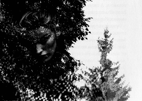 Иллюстрация к книге — Сказки Старого Вильнюса III [i_043.jpg]