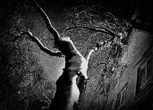 Иллюстрация к книге — Сказки Старого Вильнюса III [i_044.jpg]