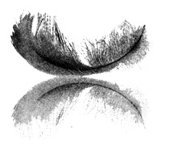 Иллюстрация к книге — Аид [i_001.jpg]