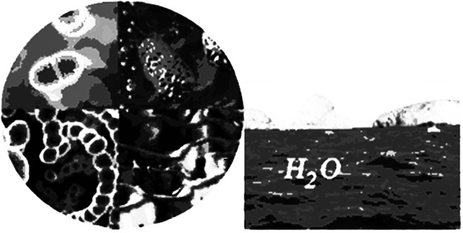 Иллюстрация к книге — Грани миров [i_003.jpg]