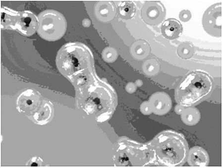 Иллюстрация к книге — Грани миров [i_004.jpg]