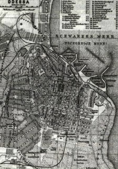 Иллюстрация к книге — Заяц с янтарными глазами [i_033.jpg]