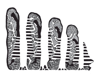 Иллюстрация к книге — Лицей послушных жен [_03.jpg]