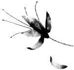 Иллюстрация к книге — Сцены из супружеской жизни [i_001.jpg]