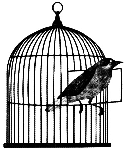 Иллюстрация к книге — Сцены из супружеской жизни [i_003.jpg]