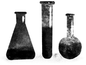 Иллюстрация к книге — Сцены из супружеской жизни [i_013.jpg]