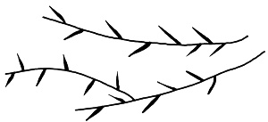 Иллюстрация к книге — Сцены из супружеской жизни [i_020.jpg]