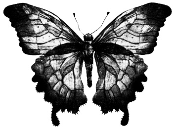 Иллюстрация к книге — Сцены из супружеской жизни [i_034.jpg]