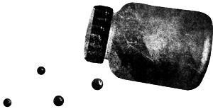 Иллюстрация к книге — Сцены из супружеской жизни [i_040.jpg]