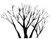 Иллюстрация к книге — Приток крови [i_006.jpg]