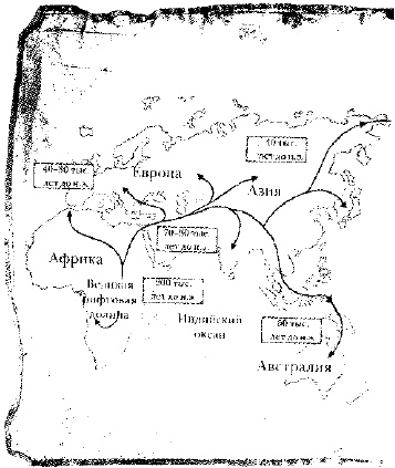 Иллюстрация к книге — Первая ночь [i_002.jpg]
