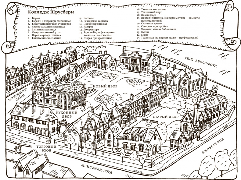 Иллюстрация к книге — Возвращение в Оксфорд [i_018.jpg]