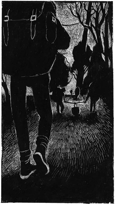 Иллюстрация к книге — Все мы не красавцы [i_004.jpg]