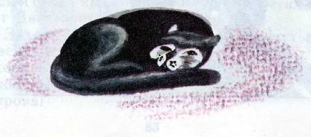 Иллюстрация к книге — Темная комната [i_018.jpg]