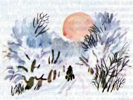 Иллюстрация к книге — Темная комната [i_029.jpg]