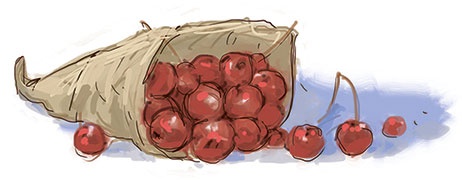 Иллюстрация к книге — Знаменитый сыщик Калле Блюмквист рискует [i_023.jpg]