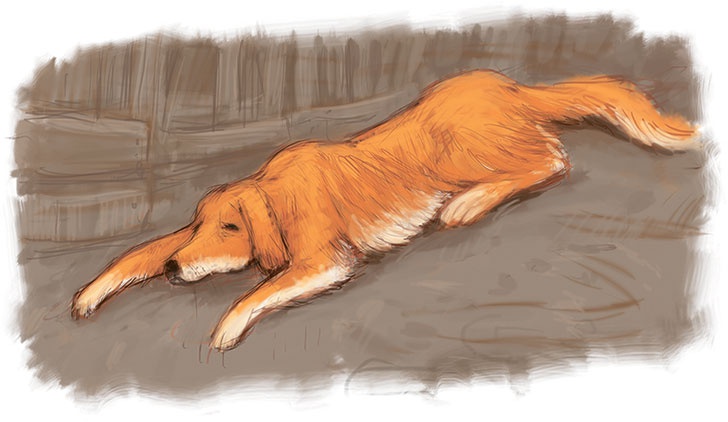 Иллюстрация к книге — Знаменитый сыщик Калле Блюмквист рискует [i_043.jpg]