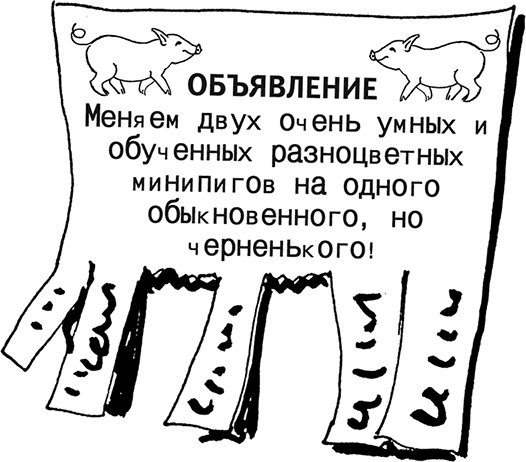 Иллюстрация к книге — Чудо с хвостиком [img_id15.jpg]