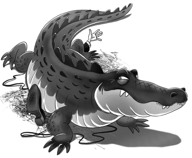 Иллюстрация к книге — Привидение – это к счастью [i_033.jpg]