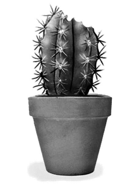 Иллюстрация к книге — Привидение – это к счастью [i_039.jpg]