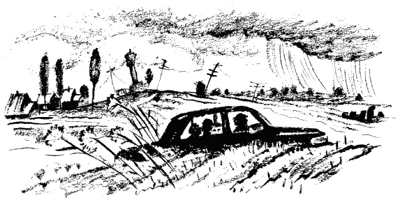 Иллюстрация к книге — Дела и ужасы Жени Осинкиной. Книга 2. Портрет неизвестной в белом [i_17.jpg]