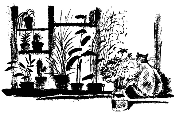 Иллюстрация к книге — Дела и ужасы Жени Осинкиной. Книга 2. Портрет неизвестной в белом [i_21.jpg]