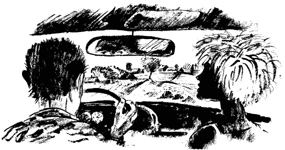 Иллюстрация к книге — Дела и ужасы Жени Осинкиной. Книга 2. Портрет неизвестной в белом [i_29.jpg]