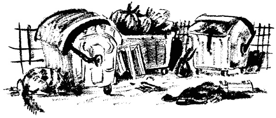 Иллюстрация к книге — Дела и ужасы Жени Осинкиной. Книга 2. Портрет неизвестной в белом [i_38.jpg]