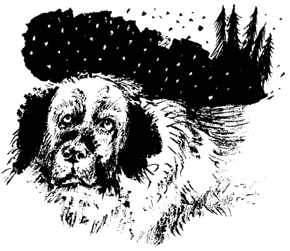 Иллюстрация к книге — Дела и ужасы Жени Осинкиной. Книга 2. Портрет неизвестной в белом [i_49.jpg]