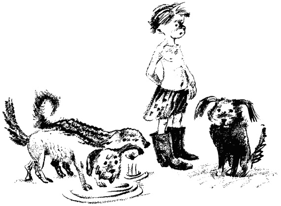 Иллюстрация к книге — Дела и ужасы Жени Осинкиной. Книга 2. Портрет неизвестной в белом [i_6.jpg]