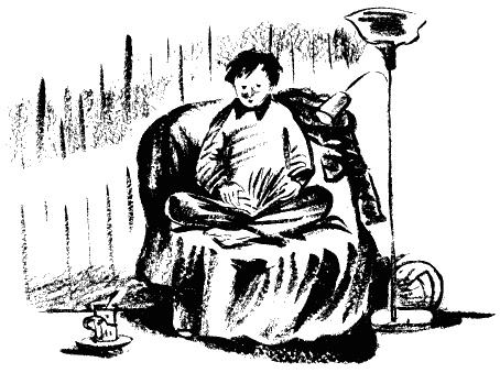 Иллюстрация к книге — Завещание поручика Зайончковского [i_019.jpg]