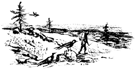 Иллюстрация к книге — Завещание поручика Зайончковского [i_022.jpg]