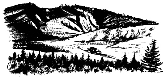 Иллюстрация к книге — Завещание поручика Зайончковского [i_064.jpg]